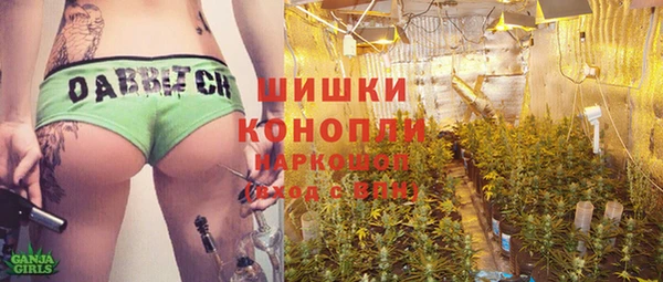 ГАЛЛЮЦИНОГЕННЫЕ ГРИБЫ Алзамай