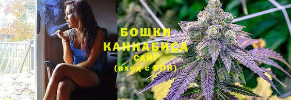 ГАЛЛЮЦИНОГЕННЫЕ ГРИБЫ Алзамай