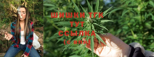 каннабис Алексеевка